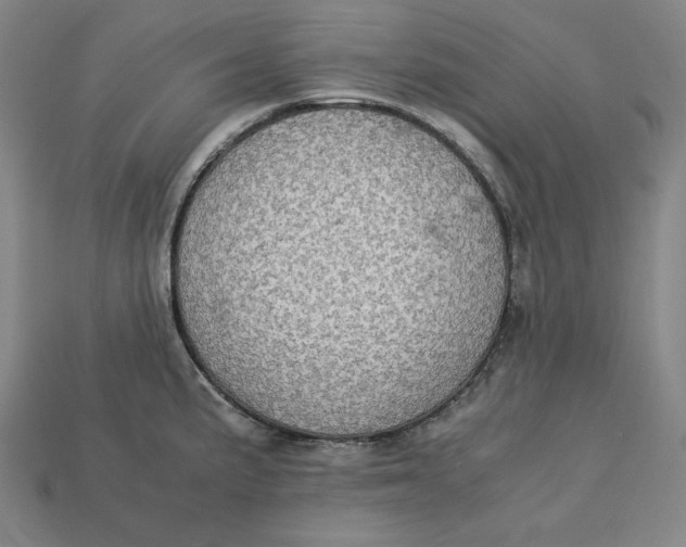 X0000113111191200909181622