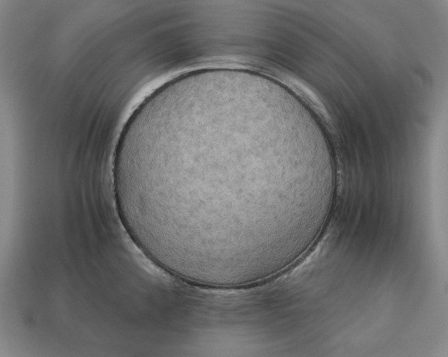 X0000113111192200909181622