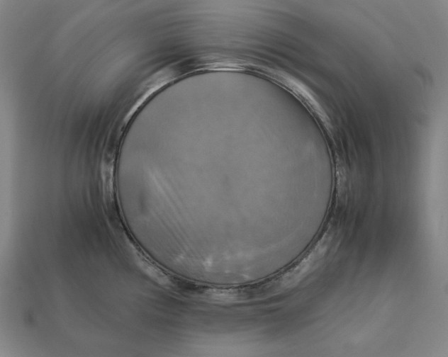 X0000113111194200909181622