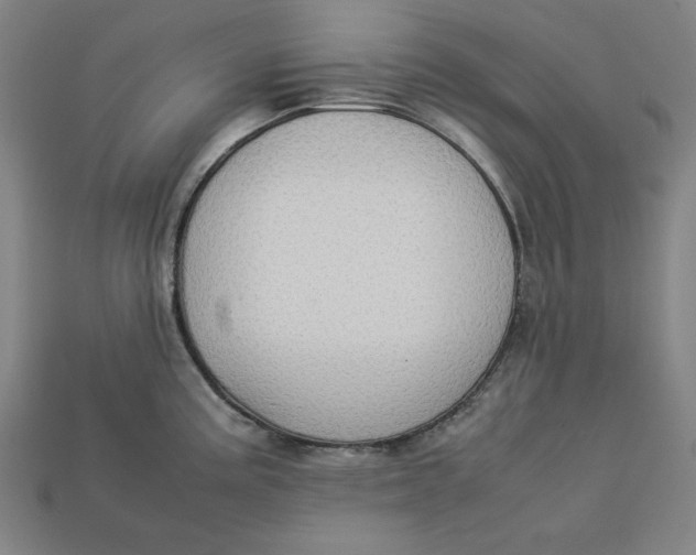 X0000113111195200909181622