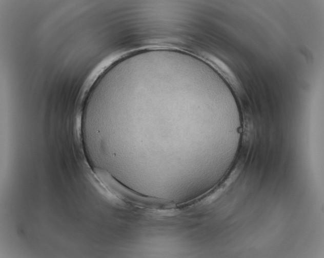 X0000113111196200909181622