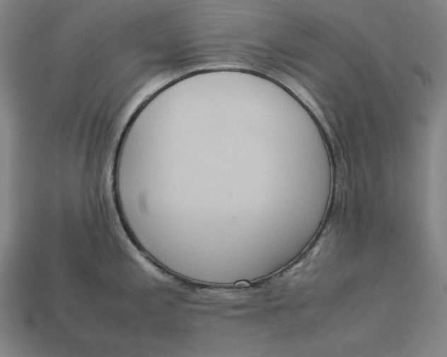 X0000113111197200909181622