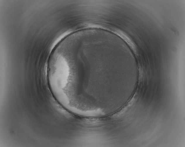 X0000113111198200909181622