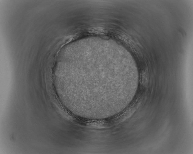 X0000113111201200909181621