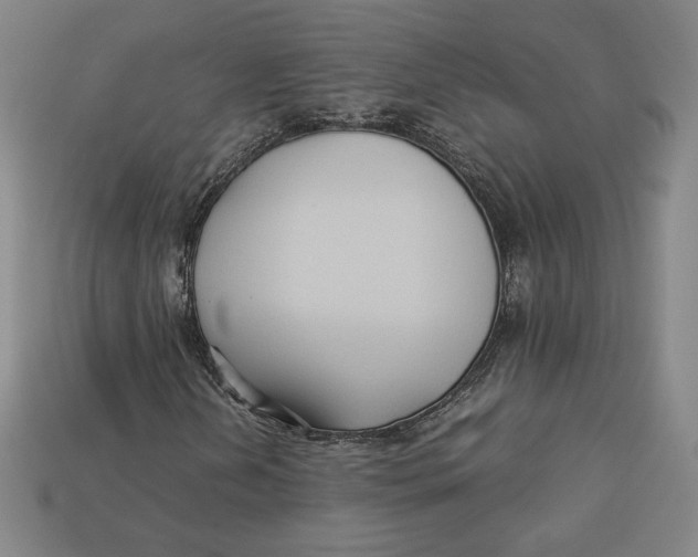 X0000113111202200909181621