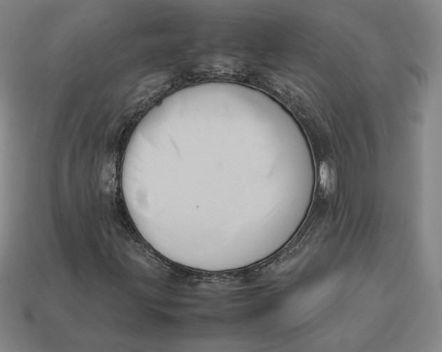 X0000113111203200909181621