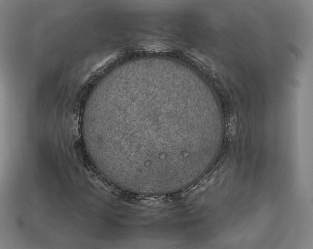 X0000113111205200909181621