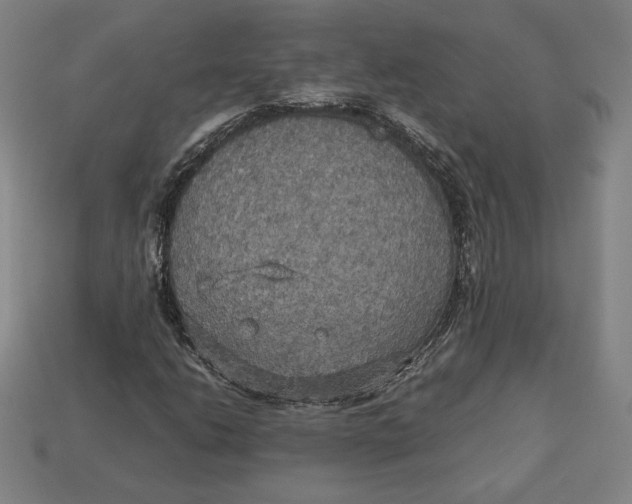 X0000113111206200909181621