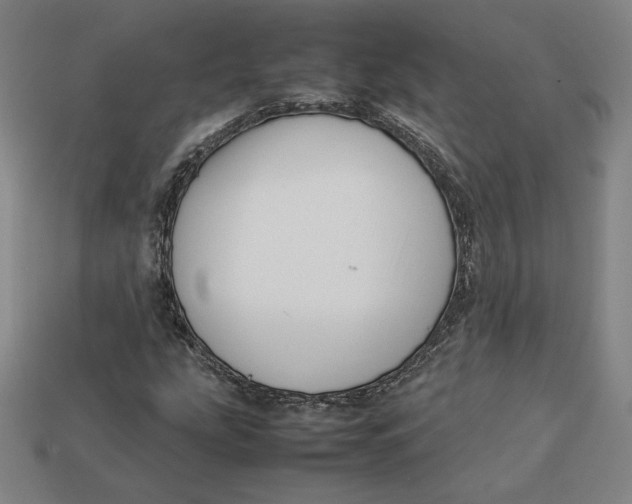 X0000113111207200909181621