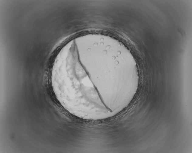 X0000113111208200909181621