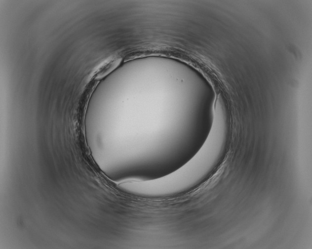 X0000113111210200909181621