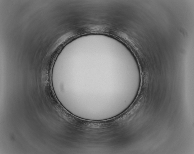 X0000113111211200909181621