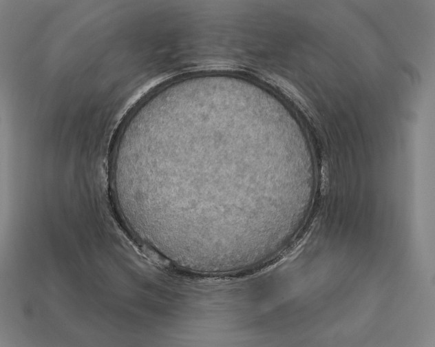 X0000113111212200909181621