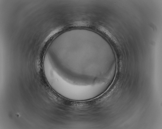 X0000113111213200909181621