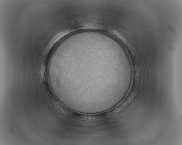 X0000113111215200909181621