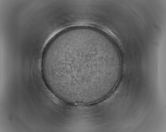 X0000113111216200909181621