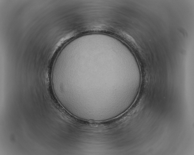 X0000113111218200909181621