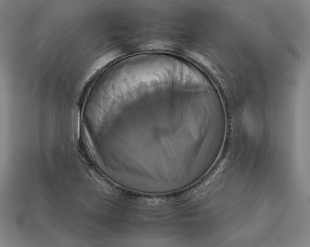 X0000113111219200909181621