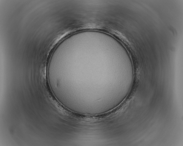 X0000113111220200909181621