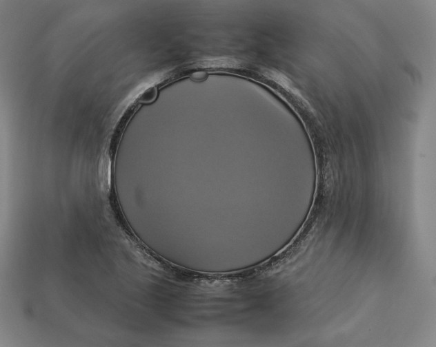 X0000113111221200909181621