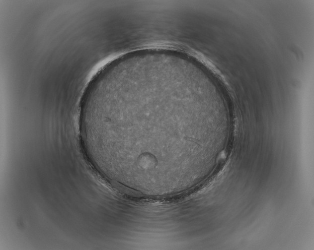X0000113111222200909181621