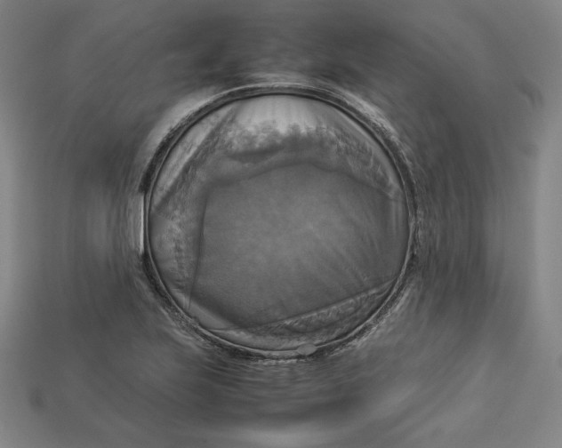 X0000113111223200909181621