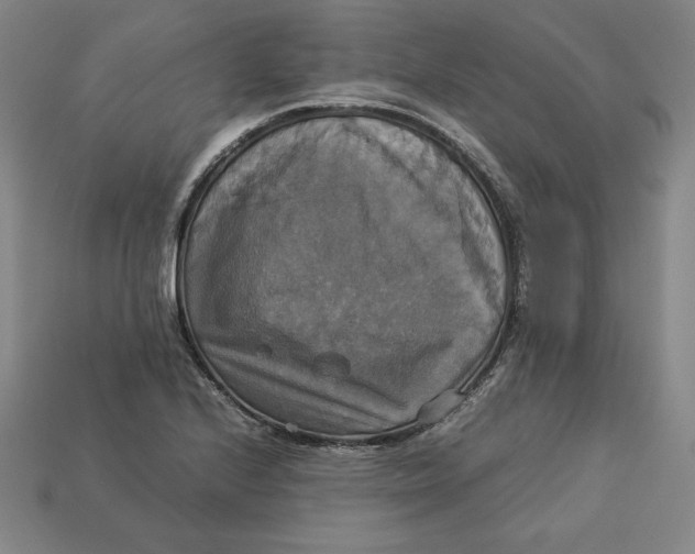 X0000113111224200909181621