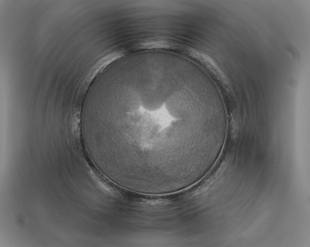 X0000113111225200909181621