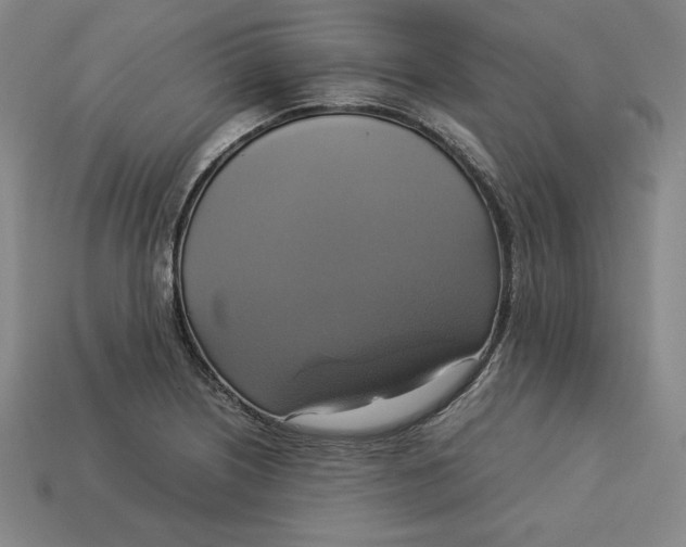 X0000113111226200909181621