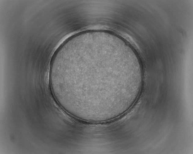 X0000113111228200909181621