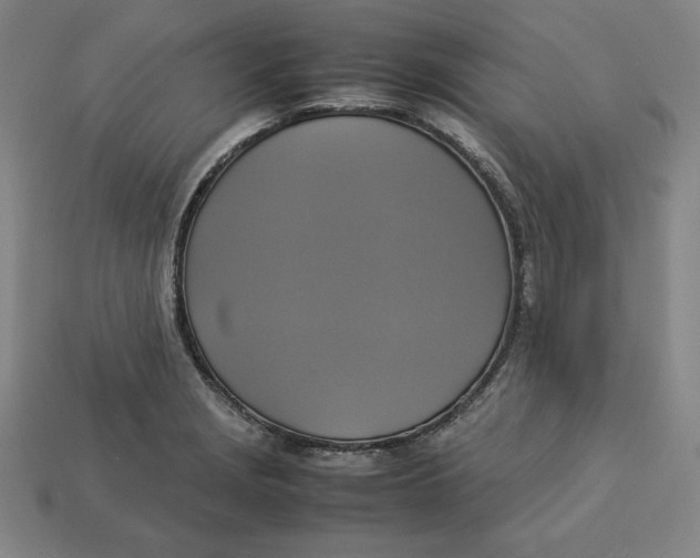 X0000113111229200909181621
