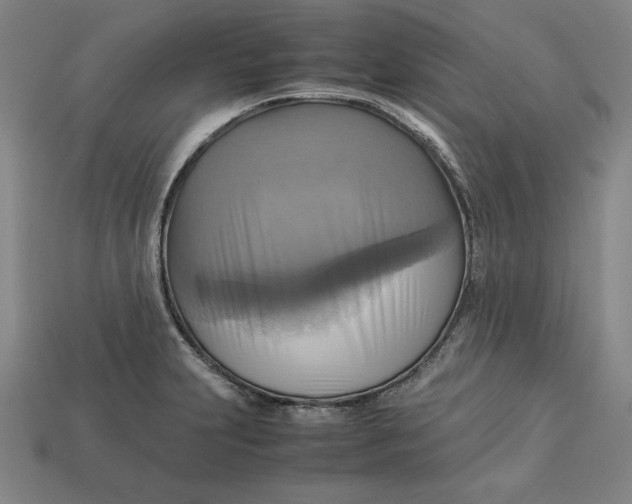 X0000113111231200909181621