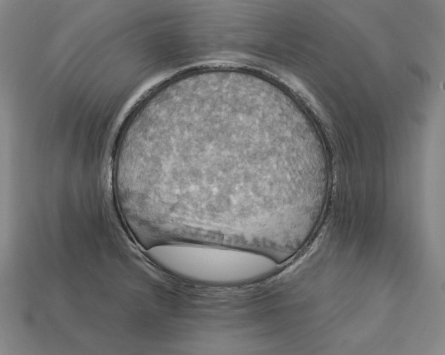 X0000113111232200909181621