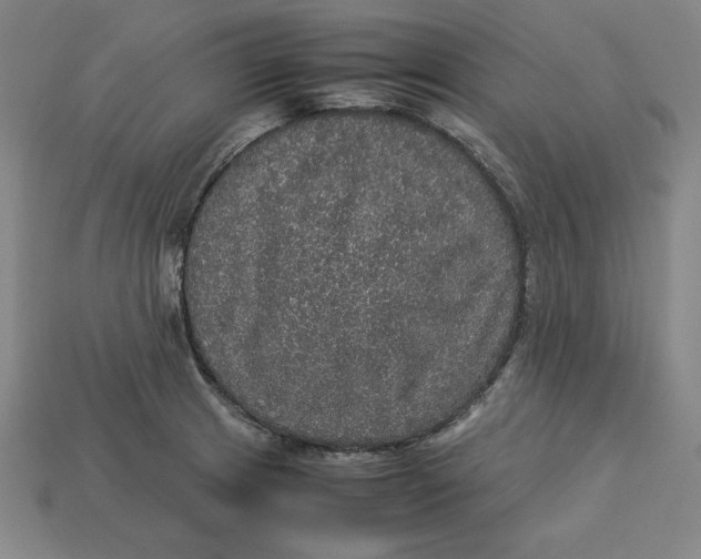 X0000113111233200909181621
