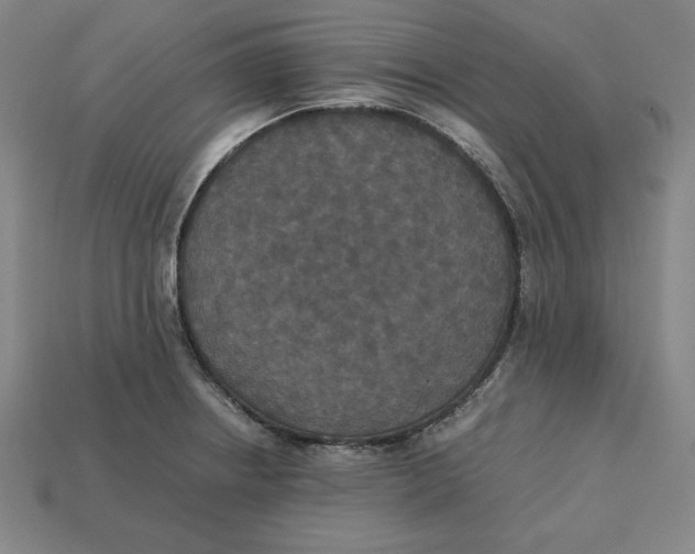X0000113111234200909181621