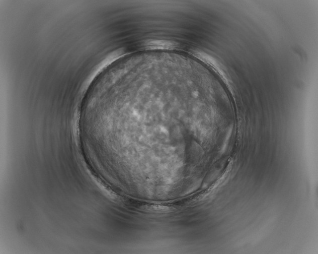 X0000113111235200909181621
