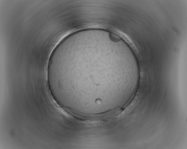 X0000113111236200909181621
