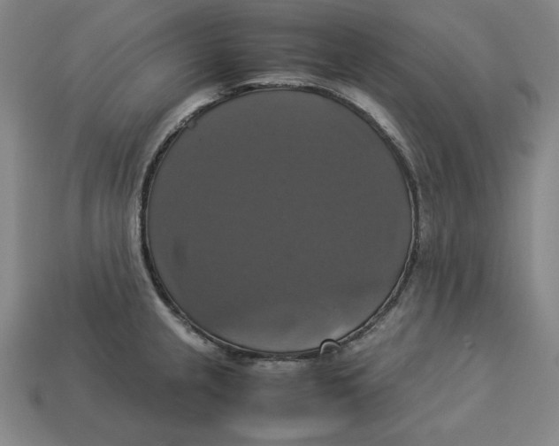 X0000113111237200909181621