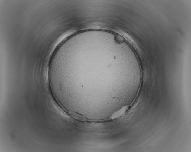 X0000113111238200909181621
