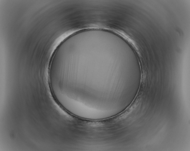X0000113111239200909181621
