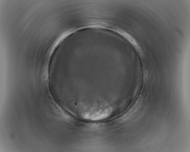 X0000113111240200909181621