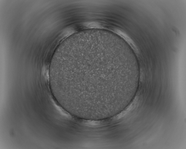 X0000113111241200909181621