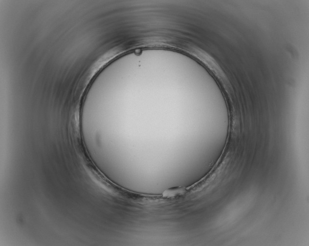 X0000113111242200909181621