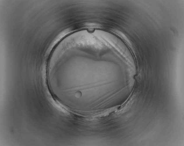 X0000113111243200909181621