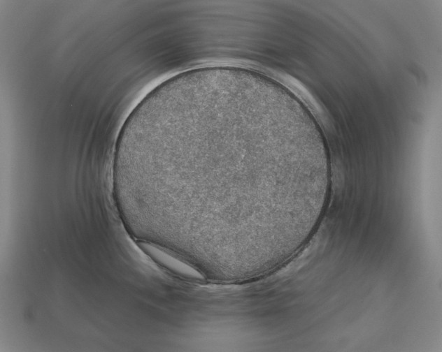 X0000113111244200909181621