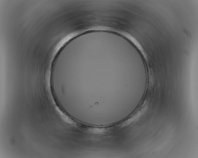 X0000113111245200909181621