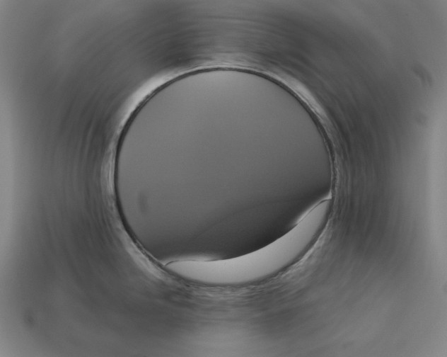 X0000113111246200909181621
