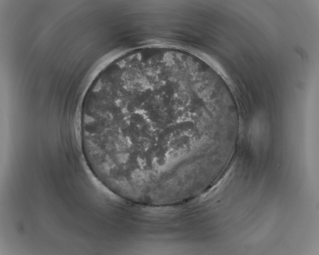 X0000113111247200909181621