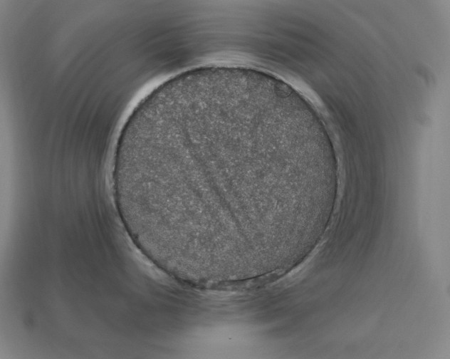 X0000113111248200909181621