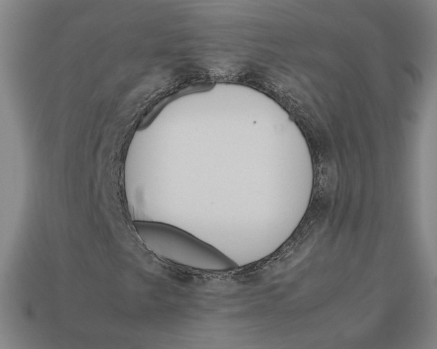 X0000113111249200909181621